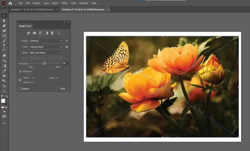 Adobe Illustrator