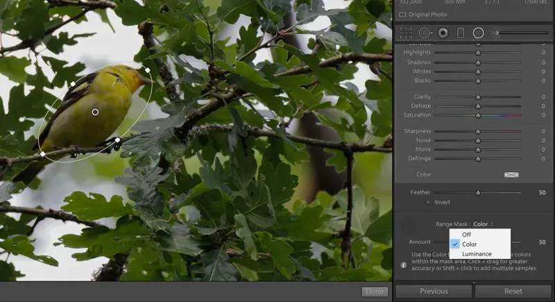 Adobe Lightroom Classic 15.3.1