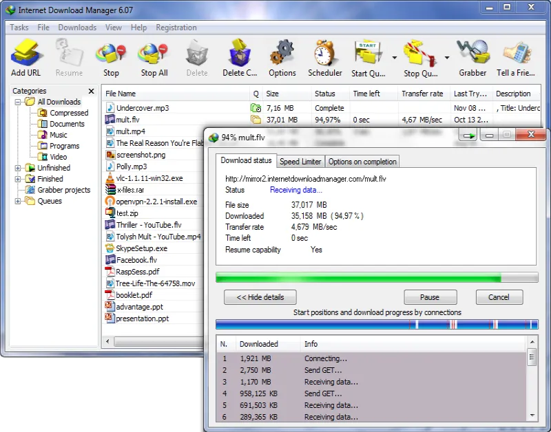 Internet Download Manager Idm
