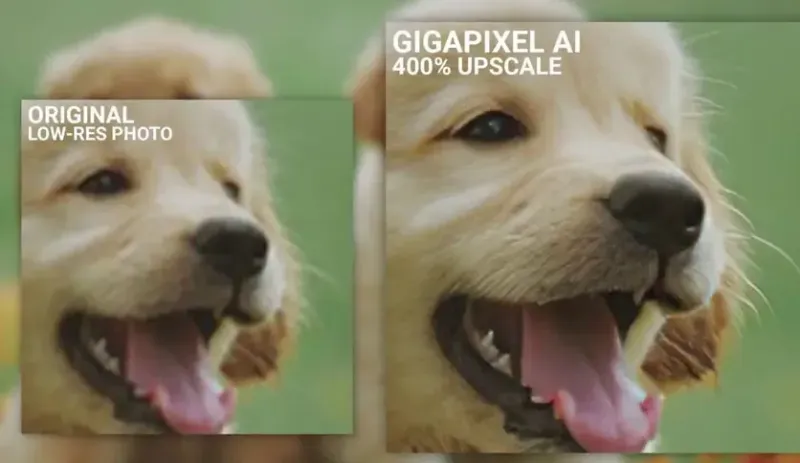 Topaz Gigapixel Ai Pro 8.4.4