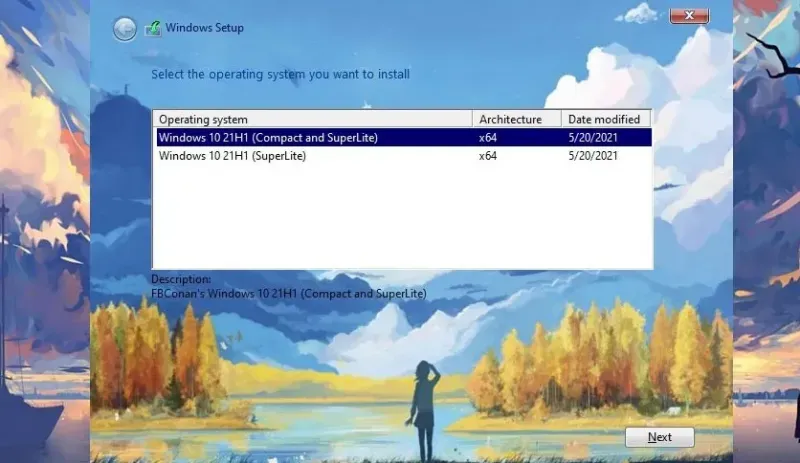 Windows 10 Pro Lite