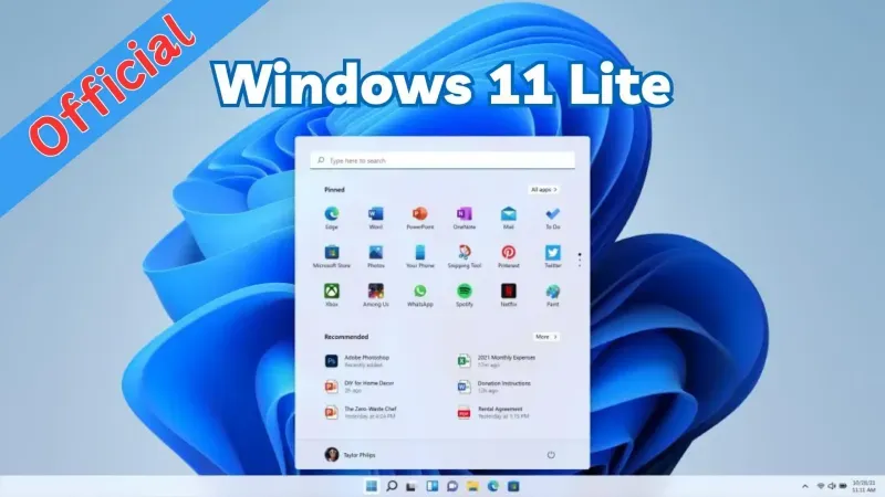 Windows 11 Pro Lite
