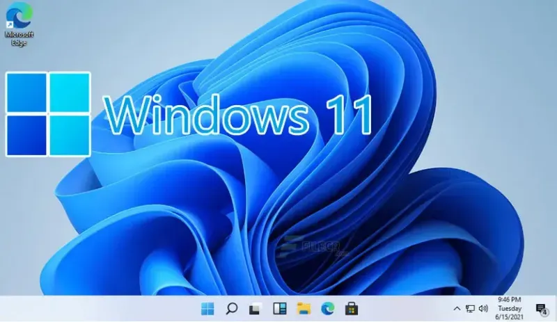 Windows 11 Professional