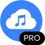 4K YouTube to MP3 Pro 26.2.0-Icon