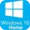 Windows 10 Home icon