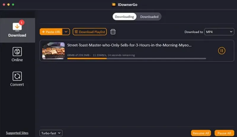 Idownergo Pro 10.15.0