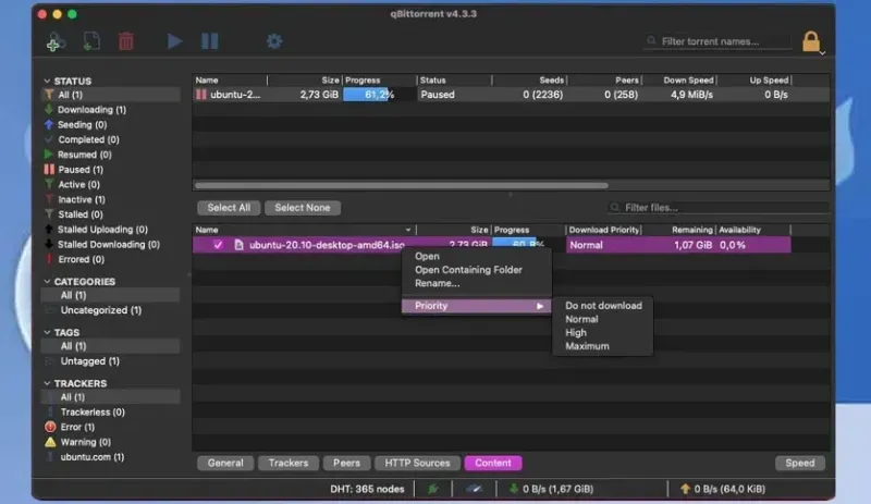 Qbittorrent 5.2.3